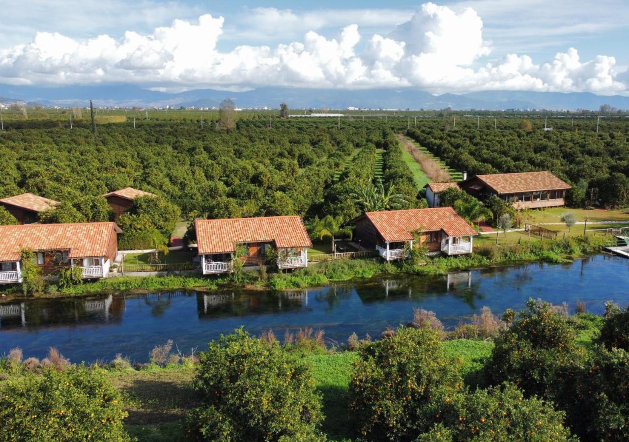 Affittacamere Turkuazkoey Finike Esterno foto
